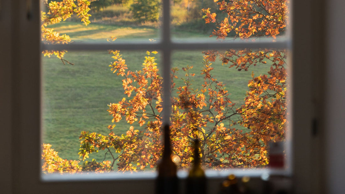 Get your garden ready for Autumn